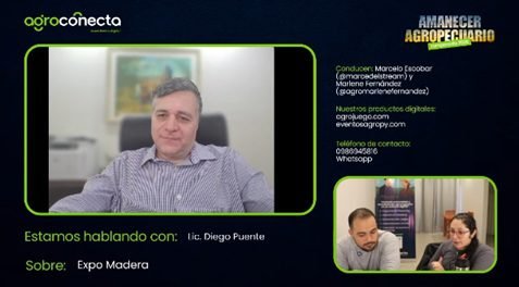 Récord histórico de exportaciones forestales