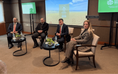 Paraguay lanza la “Expo Madera 2026”, en la mira de potencias forestales