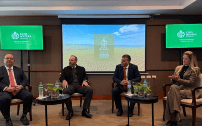 Suecia pone la mirada en Paraguay: Expo Madera 2026