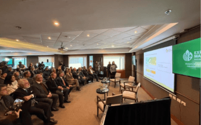 Expo Madera Paraguay 2026 reunirá a inversores de Suecia, Japón, entre otros