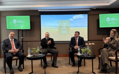 Expo Madera 2026 con participación de Suecia