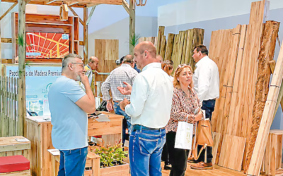 Expo Madera 2026 reunirá a feriantes internacionales