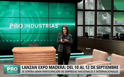 Lanzan Expo Madera del 10 al 12 de Septiembre, en la mira de potencias forestales