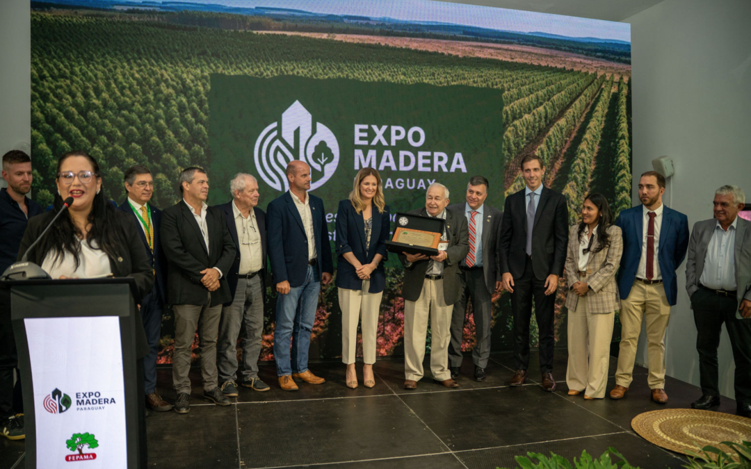 Paraguay da el salto decisivo de exportador de madera a potencia foresto-industrial