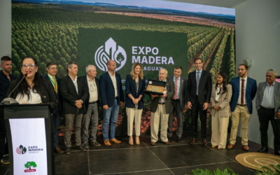 Paraguay da el salto decisivo de exportador de madera a potencia foresto-industrial