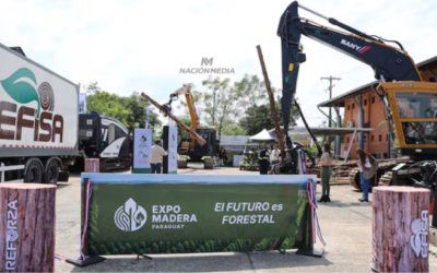 La sexta edición de la Expo Madera registró récord de participación y asistencia