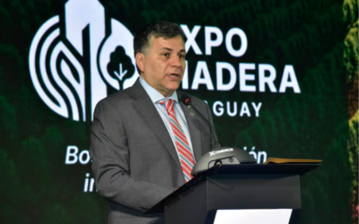 Expo Madera: Paraguay apunta a una mayor industrialización del sector forestal