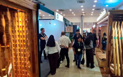 Expo Madera impulsa desde hoy a la industria forestal en el Comité Olímpico
