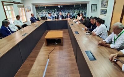 La madera nacional queda a un paso de conquistar el mercado japonés